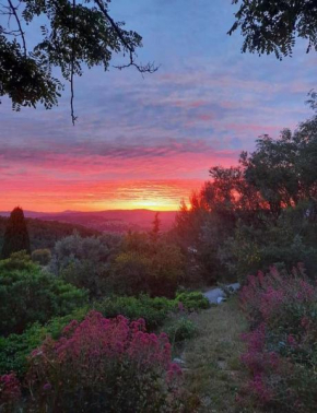 Authentique cabanon provençal